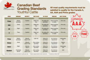 Grading Standards – Riz Global Foods